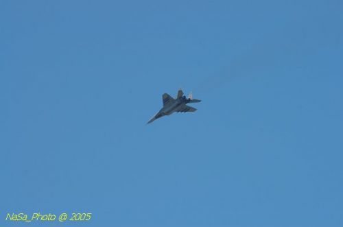 DSC_1004.JPG