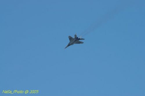 DSC_1005.JPG
