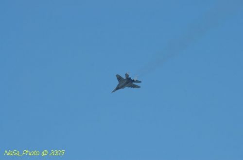 DSC_1006.JPG