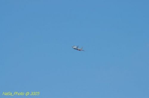 DSC_1008.JPG
