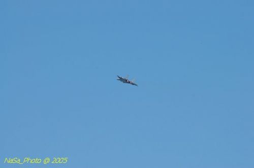 DSC_1009.JPG