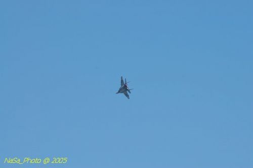 DSC_1010.JPG