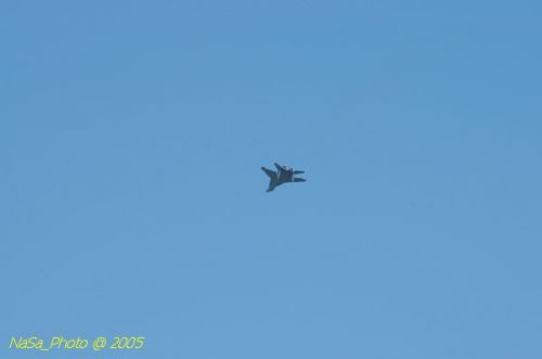 DSC_1011.JPG
