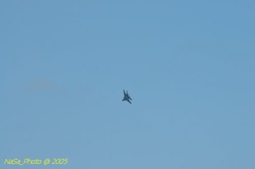 DSC_1016.JPG
