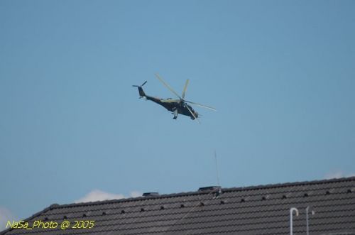 DSC_1025.JPG
