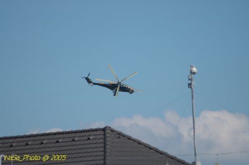 DSC_1026.JPG
