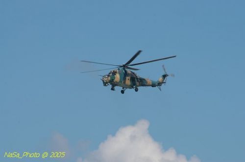 DSC_1029.JPG