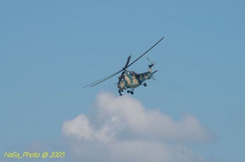 DSC_1031.JPG