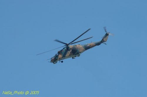 DSC_1035.JPG