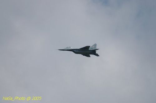 DSC_1061.JPG