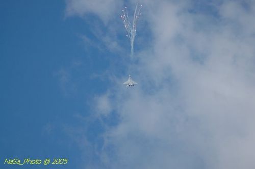 DSC_1073.JPG
