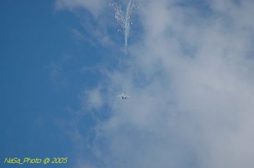 DSC_1074.JPG