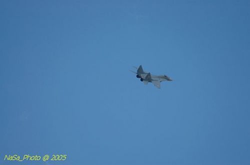 DSC_1080.JPG