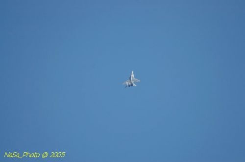 DSC_1081.JPG