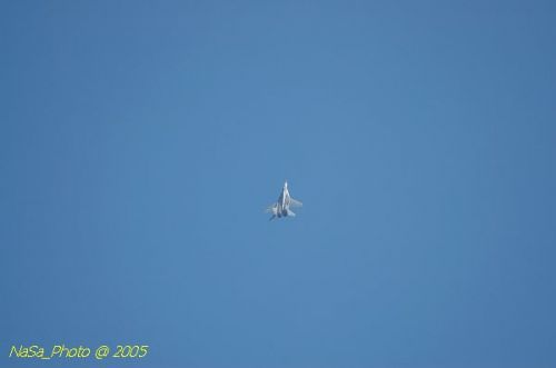 DSC_1082.JPG