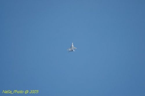 DSC_1083.JPG