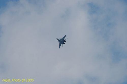 DSC_1100.JPG
