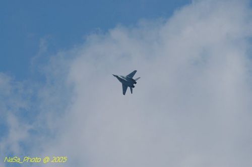 DSC_1101.JPG