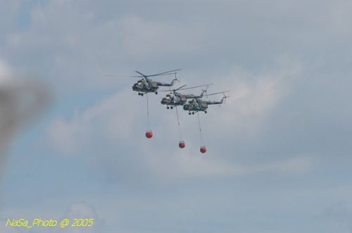 DSC_1105.JPG