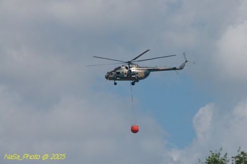 DSC_1106.JPG