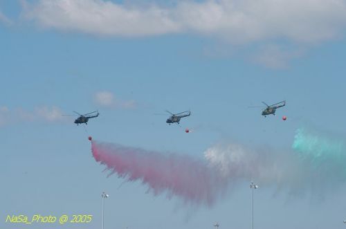 DSC_1110.JPG