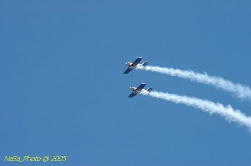 DSC_1126.JPG