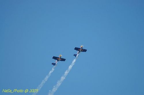 DSC_1130.JPG