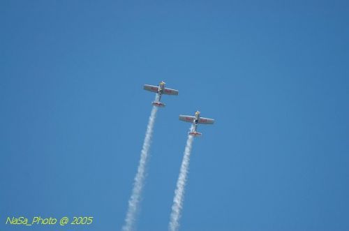 DSC_1135.JPG