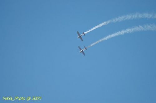 DSC_1136.JPG