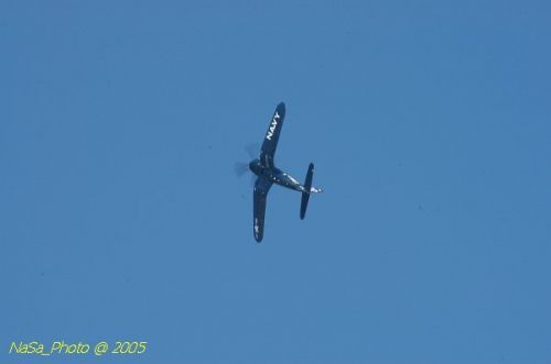 DSC_1153.JPG