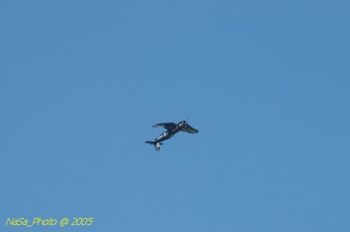 DSC_1158.JPG