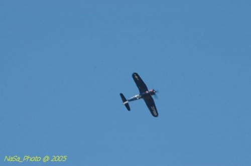 DSC_1159.JPG