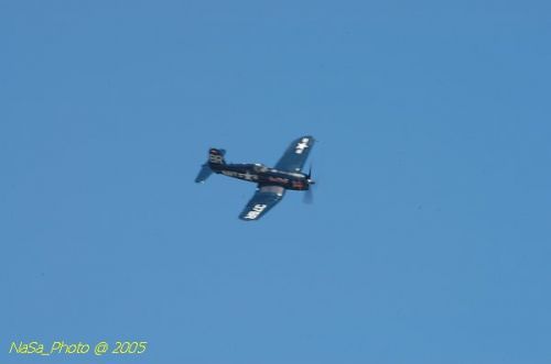 DSC_1161.JPG