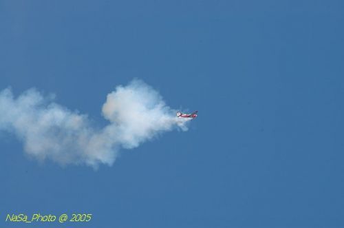 DSC_1175.JPG