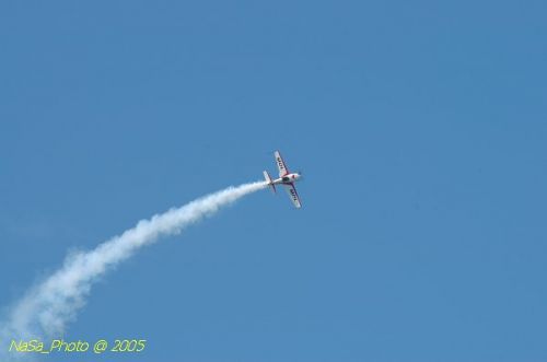 DSC_1190.JPG