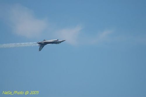 DSC_1196.JPG