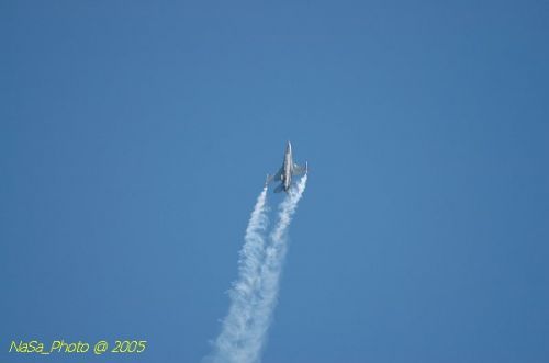 DSC_1202.JPG
