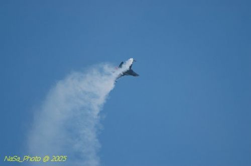DSC_1216.JPG