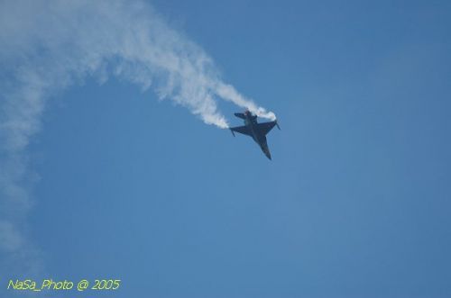 DSC_1217.JPG