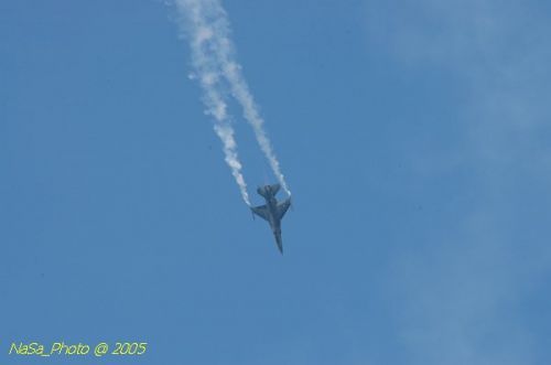 DSC_1220.JPG