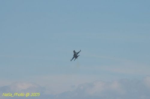 DSC_1224.JPG