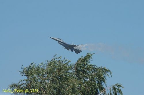 DSC_1229.JPG