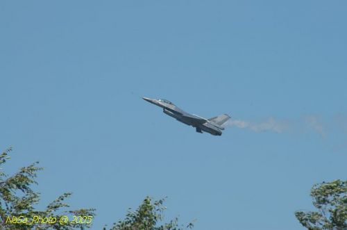 DSC_1230.JPG