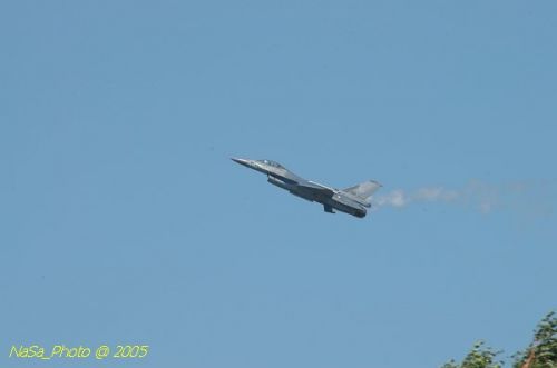 DSC_1231.JPG