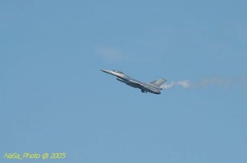 DSC_1233.JPG