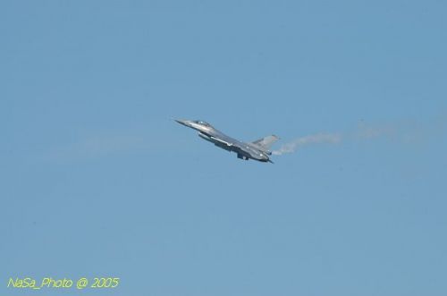 DSC_1235.JPG