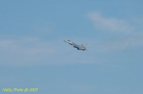DSC_1238.JPG
