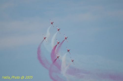 DSC_1257.JPG