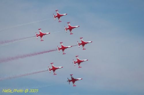 DSC_1259.JPG