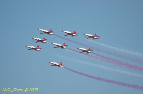 DSC_1264.JPG